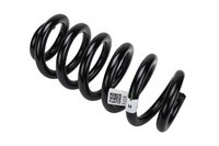 SPRING-RR COIL (B)