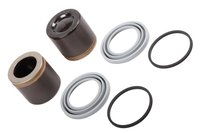PISTON KIT-FRT (SLP-1)