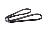 V-Ribbed Serpen (SLP-P1)