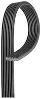 V-Ribbed Serpen (B)