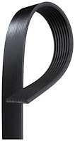 BELTSERPENTINE ACDE (B)