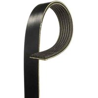 V-Ribbed Serpen (B)