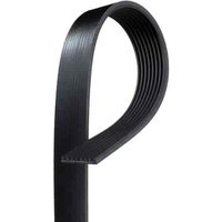 V-Ribbed Serpen (B)