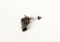 BULB ASM HDLP LOW BEAM