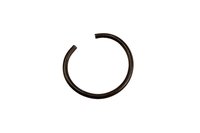 RINGCIRCLIPJOIN (SLP-1)
