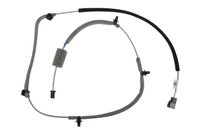 CABLE ASM-DIGITAL R (99)