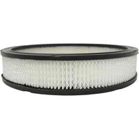 Air Filter (SLP)