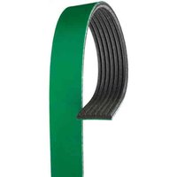 Heavy Duty V-Ri (PARITY)