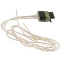 Multi-Purpose P (SLP)