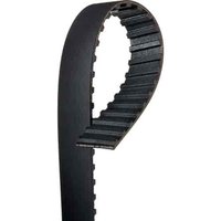Timing Belt (PARITY)