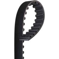 Timing Belt (B)