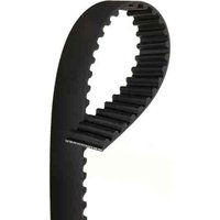 Timing Belt (B)