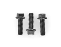 Cam Bolts Chevy LS1 (Sprocket Bolts)