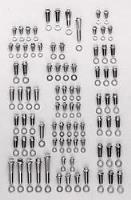 Stainless Steel 12-Point Head Fastener Kit Ford 289-302 cid, small block