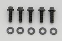 5/16"-18 Chromemoly Bolts 1.000" UHL, Hex