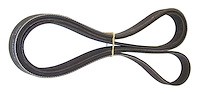 Serpentine Belt