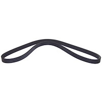 Serpentine Belt
