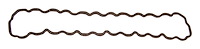 53005991G Valve Cover Gasket