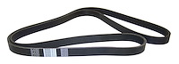 Serpentine Belt