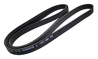 Serpentine Belt