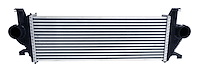 55038004AD Charge Air Cooler