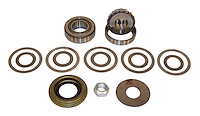 D30EPBK Pinion Bearing Kit