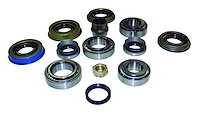 D30LMASKIT Differential Master Overhaul Kit
