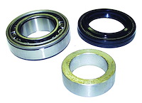 D35WJBK Axle Shaft Bearing Kit, 1999-2004 Jeep Grand Cherokee