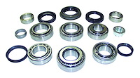 D35WJMASKIT Differential Master Overhaul Kit, 1999-2004 Jeep Grand Cherokee