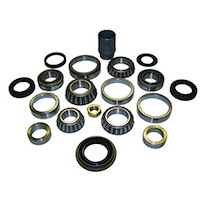 Differential Master Overhaul Kit