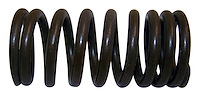 Valve Spring