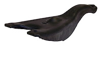 J3224192 Clutch Fork for 1976-1980 Jeep Models [2.5L, 3.8L, 4.2L, 5.0L Engines]