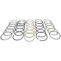 J8121683.020 RING SET .020 for Select Jeep Models
