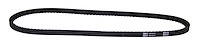 Serpentine Belt