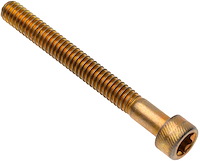 SCREW TORX HEAD