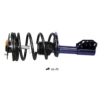 RoadMatic Strut and Coil Spring Assembly