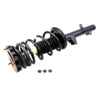 RoadMatic Strut and Coil Spring Assembly