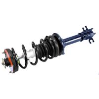 RoadMatic Strut and Coil Spring Assembly