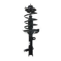 RoadMatic Strut and Coil Spring Assembly