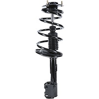 RoadMatic Strut and Coil Spring Assembly