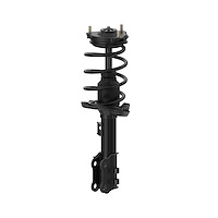 Quick-Strut Strut and Coil Spring Assembly