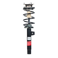 Quick-Strut Strut and Coil Spring Assembly