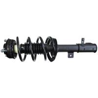 RoadMatic Strut and Coil Spring Assembly