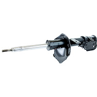 OESpectrum Suspension Strut