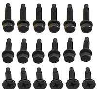 H-141 Door Hinge Bolt Kit for 1967 Camaro, Firebird; 1966-1967 Chevelle, El Camino; GTO, Tempest