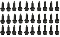 Upper and Lower Door Hinge Bolt Set 1968-1981 GM F-Body, 1968-1974 Chevy II Nova, 1968-1972 Chevy Chevelle/El Camino