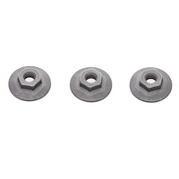 QUARTER WINDOW TRACK RETAININGNUT SET3