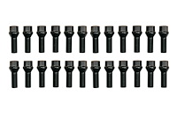 2110-BK SPRINTER LUG BOLT KIT, Black, Select Mercedes-Benz Sprinter 2500