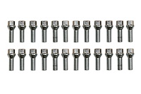 2110-SL SPRINTER LUG BOLT KIT, Silver, Select Mercedes-Benz Sprinter 2500