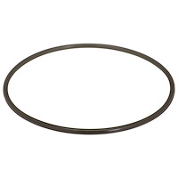 Fuel Pump Tank Seal